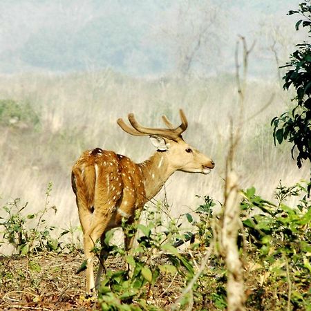 Ibishouse Farm Stay Bharatpur Ngoại thất bức ảnh