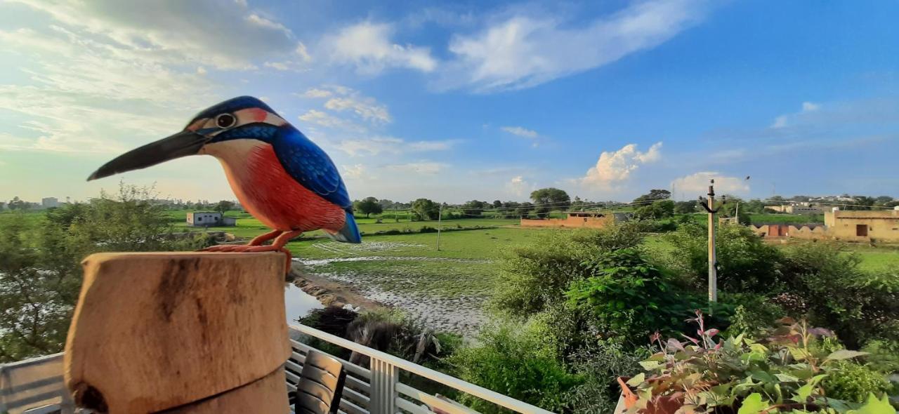 Ibishouse Farm Stay Bharatpur Ngoại thất bức ảnh