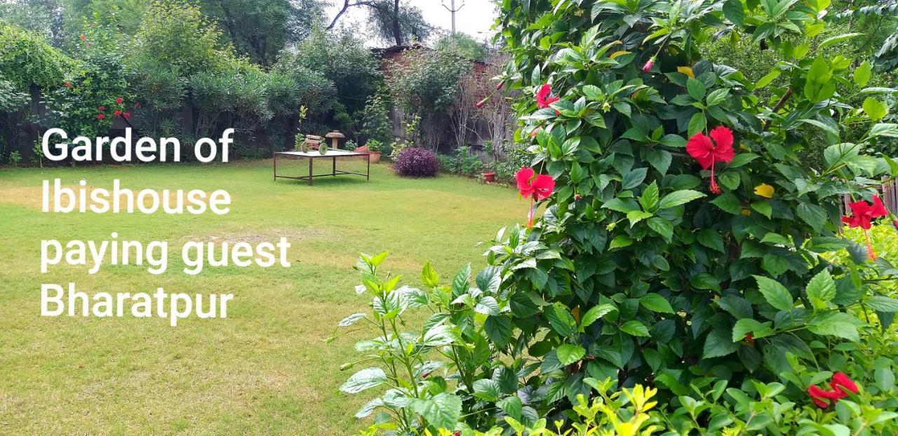 Ibishouse Farm Stay Bharatpur Ngoại thất bức ảnh