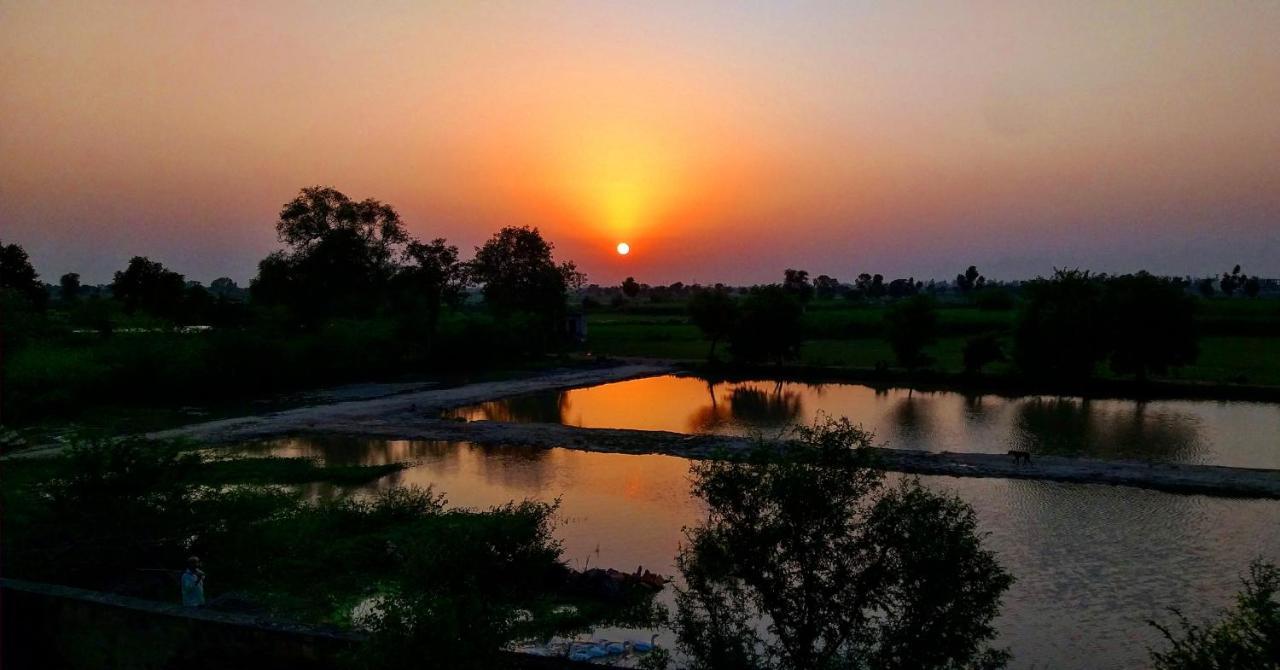 Ibishouse Farm Stay Bharatpur Ngoại thất bức ảnh