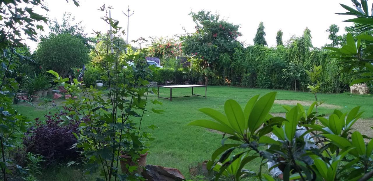 Ibishouse Farm Stay Bharatpur Ngoại thất bức ảnh