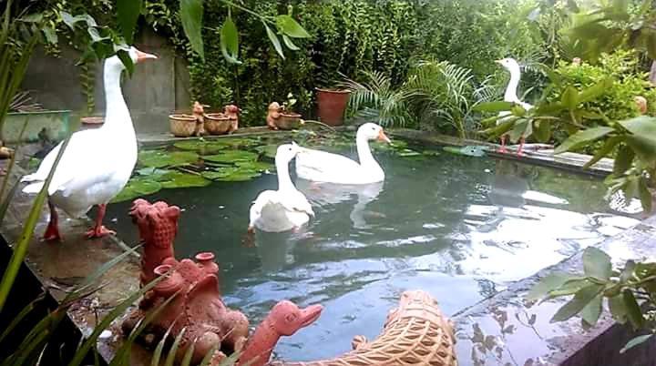 Ibishouse Farm Stay Bharatpur Ngoại thất bức ảnh